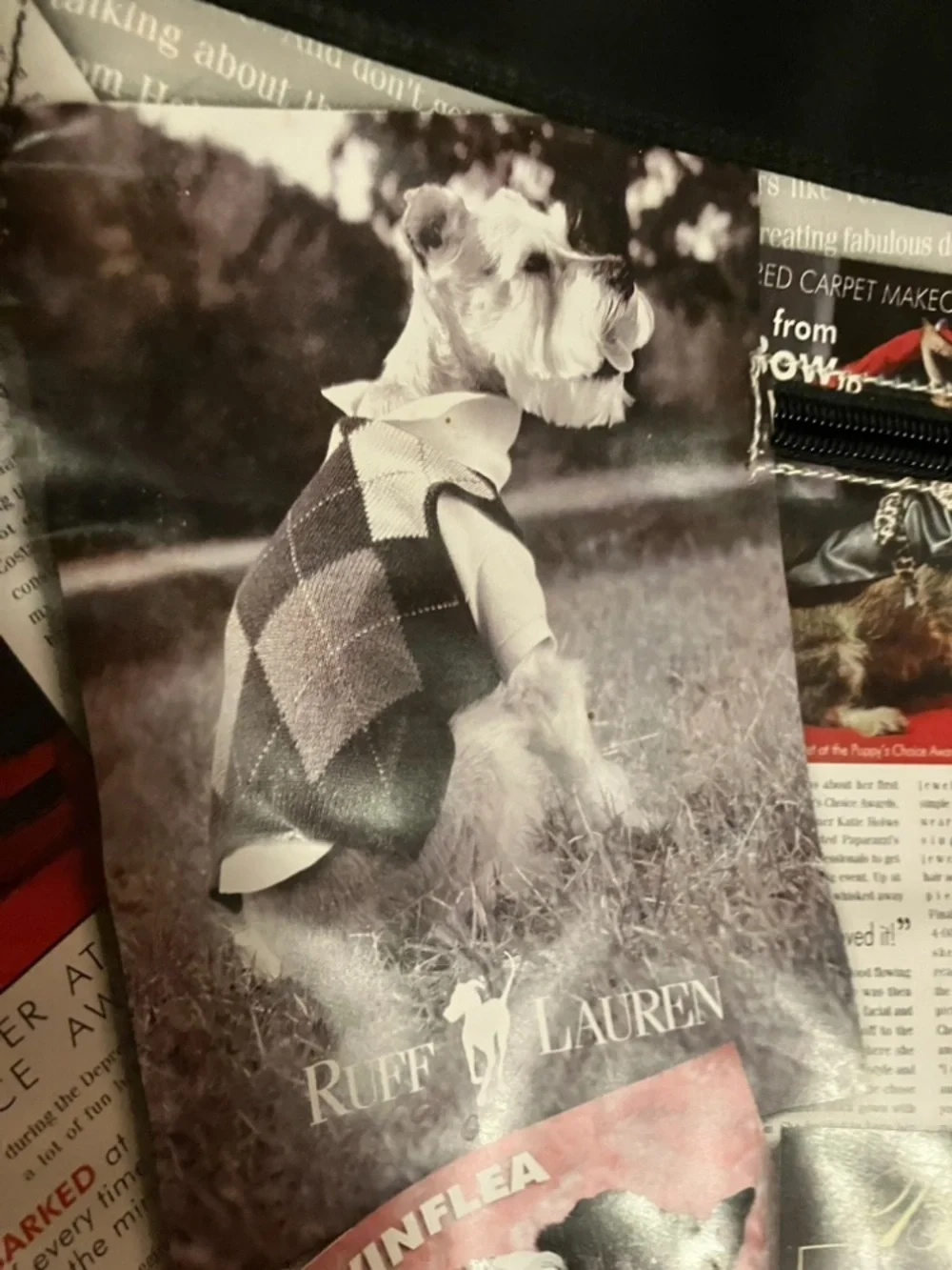 New Dog Paparazzi Style Tote with Personal Photo Spots For Your Dogs Pictures